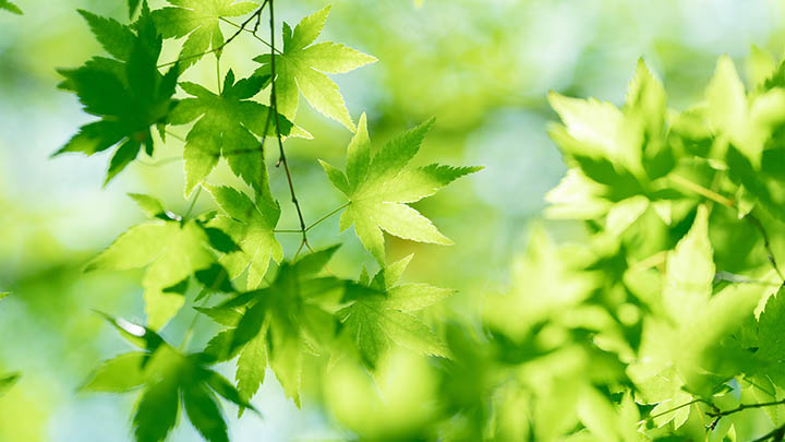 死了么app中文版使用指南最新版：手把手教你用好这个有温度的应用